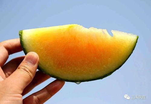 娱乐圈最近有什么瓜可以吃