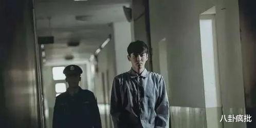 每日吃瓜盘点娱乐圈,每日吃瓜盘点，揭秘明星幕后故事