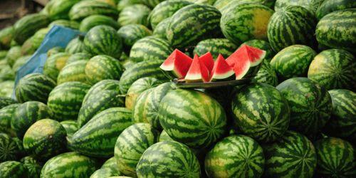 娱乐吃瓜场地图片大全,图鉴各大热门场地大盘点