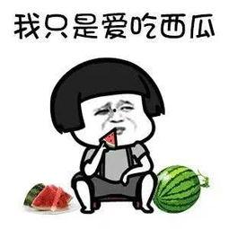 娱乐吃瓜酱蠢人,蠢人生涯的趣味解读