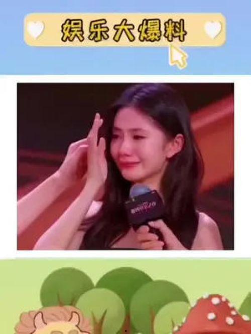 娱乐吃瓜酱娱乐评论大赏,盘点年度热门话题与精彩瞬间